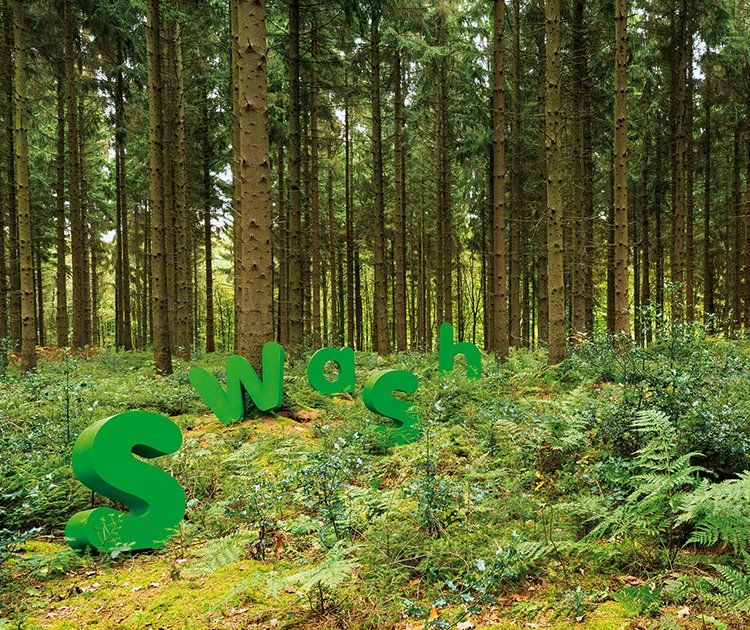 swash-logo-in-forest